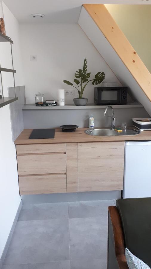 Le Chartreuse / Rent4Night Grenoble Apartment Екстериор снимка